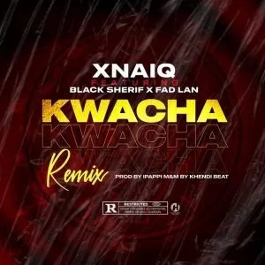 Xnaiq – Kwacha Ft Black Sherif x Fad Lan 1 Xnaiq – Kwacha Ft Black Sherif x Fad Lan
