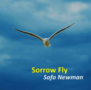 Safo Newman - Sorrow Fly 1 Safo Newman Sorrow Fly mp3 download