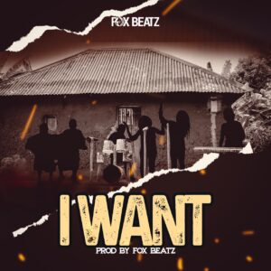 Fox Beatz - I Want 1 Fox Beatz I Want Prod by Fox Beatz mp3 image