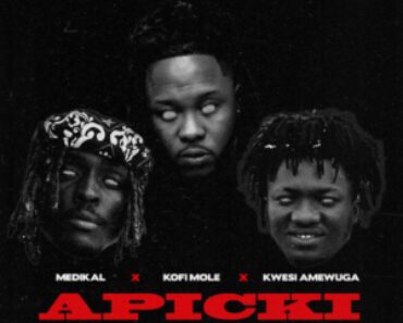 Medikal – Apicki Ft Kofi Mole & Kwesi Amewuga Medikal – Apicki Ft Kofi Mole & Kwesi Amewuga