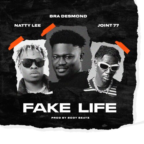 Bra Desmond - Fake Life ft. Natty Lee & Joint 77 1 Bra Desmond Fake Life ft Natty Lee Joint 77 mp3 image scaled