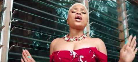 Official Video: Adina – Take Care Of You Ft StoneBwoy
