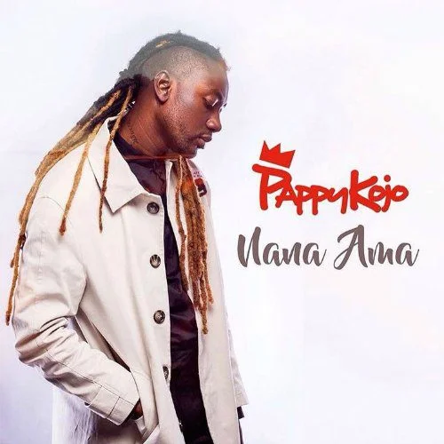 Pappy-Kojo-Nana-Ama-Prod-By-Twist-www.aacehypez.net_ Pappy Kojo - Nana Ama (Prod By T Beats)
