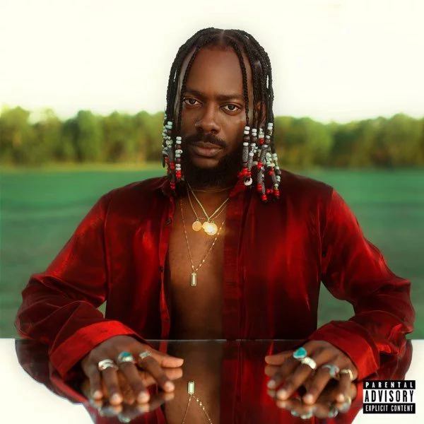 Adekunle Gold – Firewood Ft Tekno
