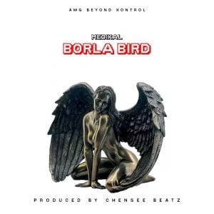 Medikal-Borla-Bird-300x300-1 Medikal - Borla Bird (Prod. By Chensee Beatz)