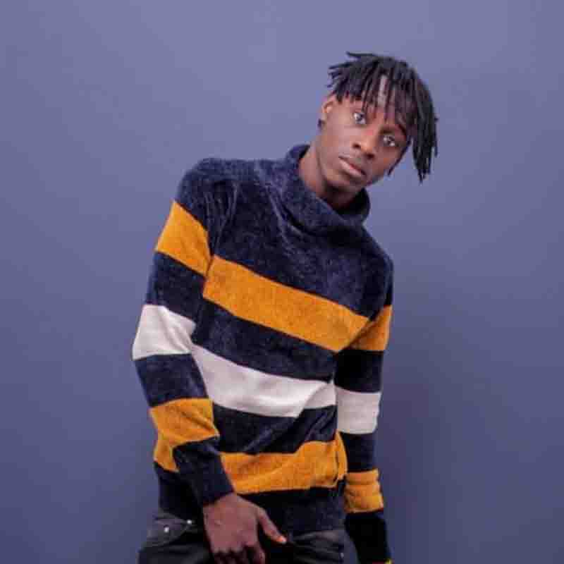 Striker_de_Donzy Striker De Donzy - Dr Bawumia