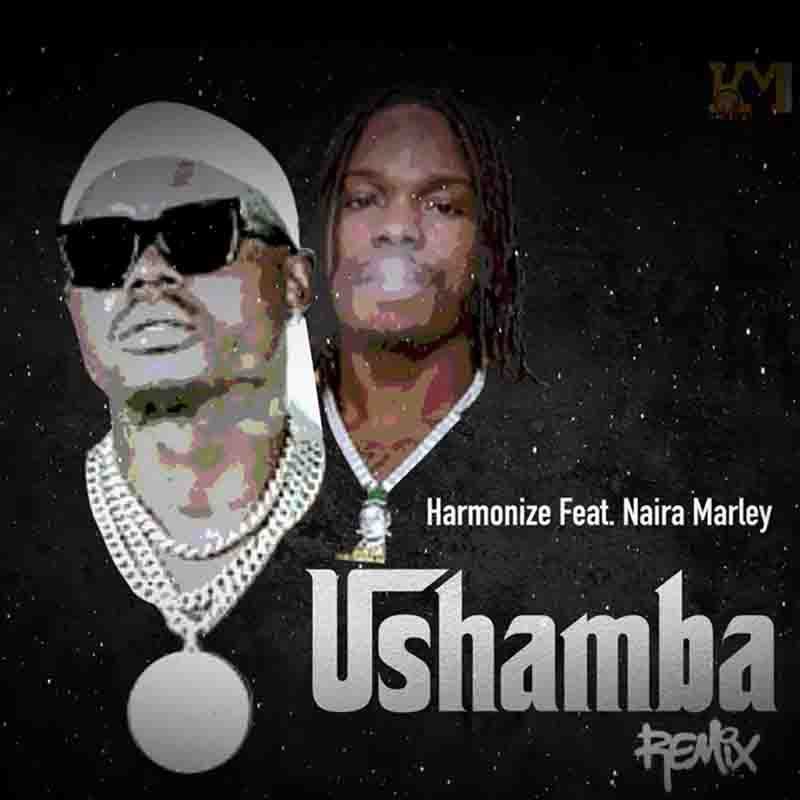 Harmonize_Ushamba_remix Harmonize - Ushamba Remix Ft Naira Marley