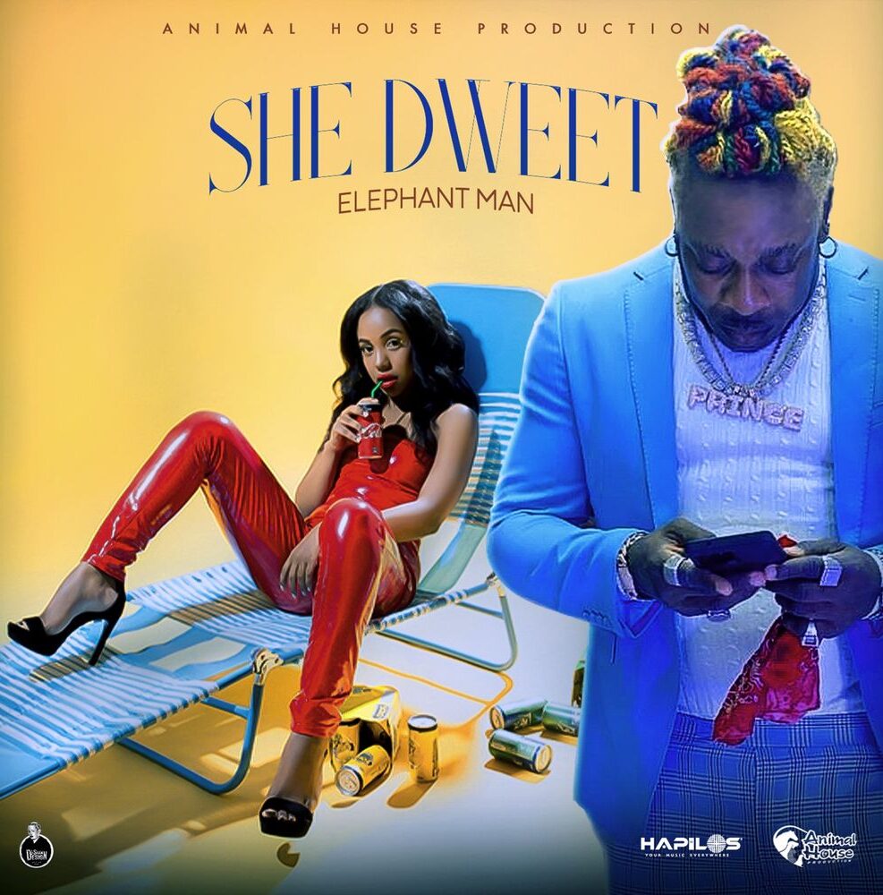 Elephant Man – She Dweet (Prod. By Animal House Production)