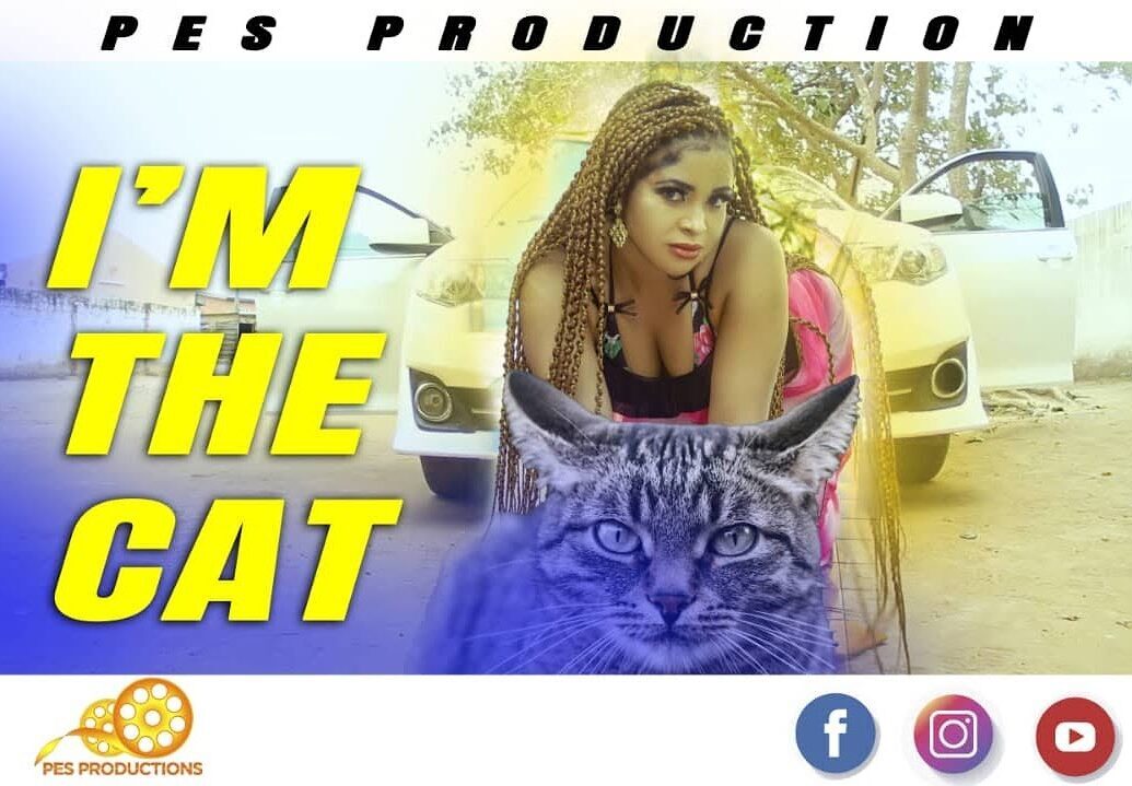 Pes Baby – Am The Cat
