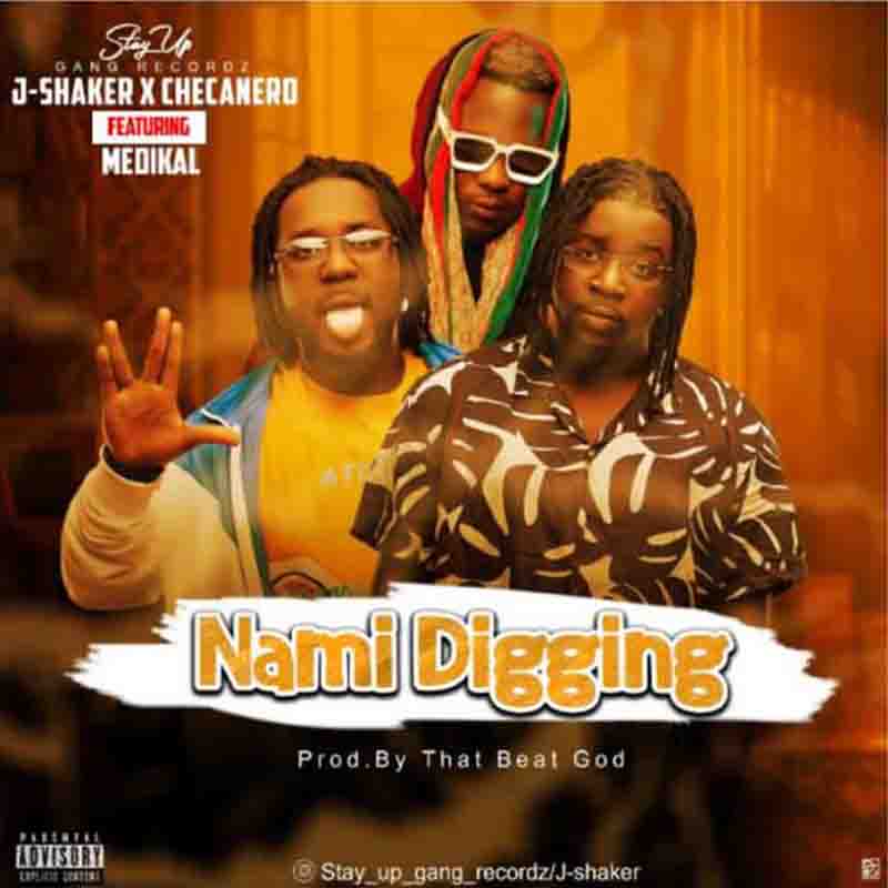 J-Shaker x Chikanero – Nami Digging Ft Medikal J-Shaker x Chikanero – Nami Digging Ft Medikal