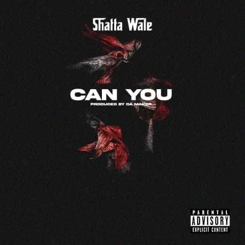 IMG_5644 Shatta Wale – Can You (Prod. By Da Maker)