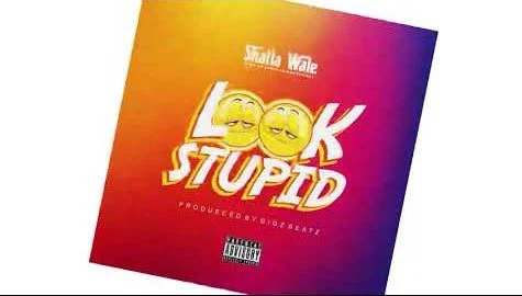 Shatta Wale – Look stupid (Prod By GigzBeatz) Shatta Wale – Look stupid (Prod By GigzBeatz)
