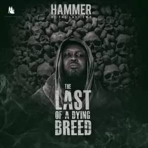 Hammer of The Last Two – Remember Ebony Ft Shatta Wale, Obrafour, Worlasi, Poetress x Abeiku Santana