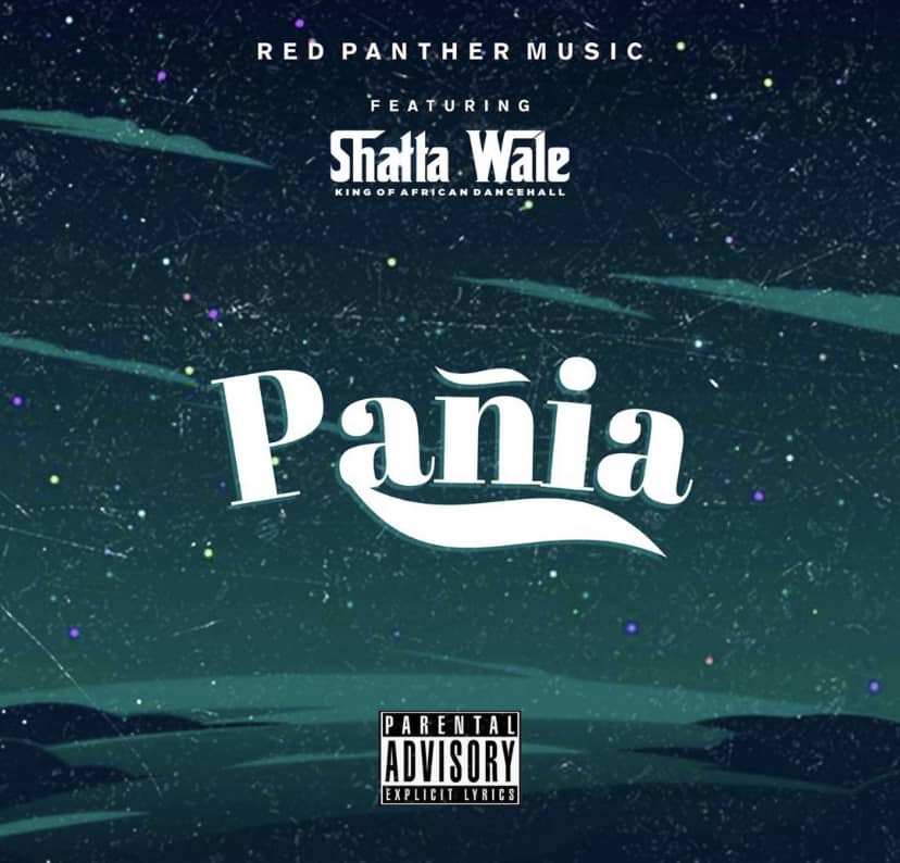 Shatta Wale – Panai