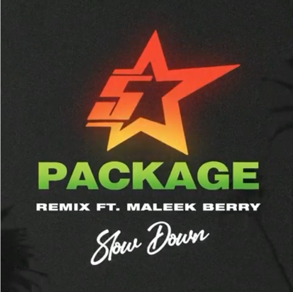 King Promise – Slow Down Remix Ft Maleek Berry