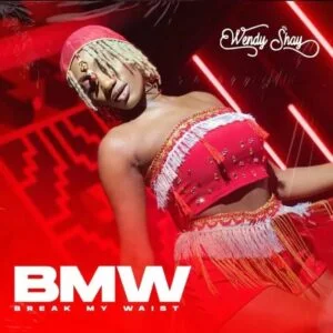Wendy-Shay-Break-My-Waist-www-aacehypez-net_-mp3-image-300x300 Wendy Shay – BMW (Break My Waist)