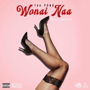 YAA-PONO-WONAI-NAA-PROD-BY-UNDA-BEAT_www-aacehypez-net_-mp3-image-300x300 Yaa Pono – Wonai Naa (Prod. By Unda Beatz)