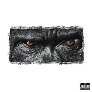 Joey-B-Gorilla-Ft-Yaw-Tog-www-aacehypez-net_-mp3-image-300x300 Joey B – Gorilla Ft Yaw Tog (Prod By DJ Krept)