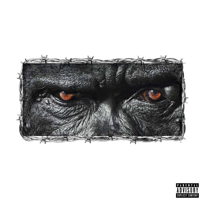 Joey B – Gorilla Ft Yaw Tog (Prod By DJ Krept)