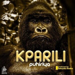 Kparili-Puhiriya_www-aacehypez-net_-mp3-image-300x300 Maccasio – Kparili Puhiriya (Prod by Suhuyubu)
