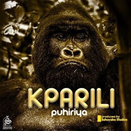 Maccasio – Kparili Puhiriya (Prod by Suhuyubu)