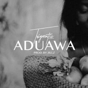 Trigmatic-Aduawa-Prod-by-Jillz_www-aacehypez-net_-mp3-image-300x300 Trigmatic – Aduawa (Prod. by Jillz)