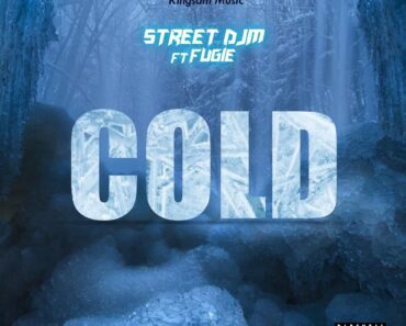 Lyrics: Street DJM – Cold Ft Fugie