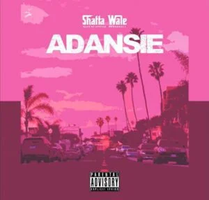 shatta-wale-300x286 Shatta Wale – Adansie (Testimony)