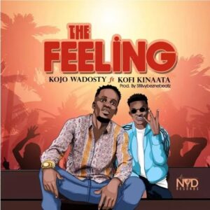 Kojo-Wadosty-–-The-Feeling-Ft-Kofi-Kinaata_www-aacehypez-net_-mp3-image-300x300 Kojo Wadosty – The Feeling Ft Kofi Kinaata