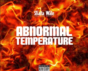 Shatta Wale – Abnormal Temperature