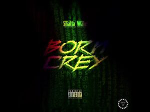 Shatta-Wale-Born-Crey_www-aacehypez-net_-mp3-image-300x225 Shatta Wale – Born Crey