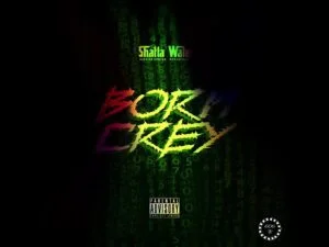 Shatta-Wale-Born-Crey_www-aacehypez-net_-mp3-image-300x225 Shatta Wale – Born Crey