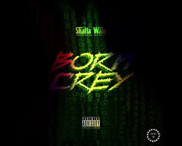 Shatta Wale – Born Crey