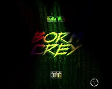 Shatta Wale – Born Crey