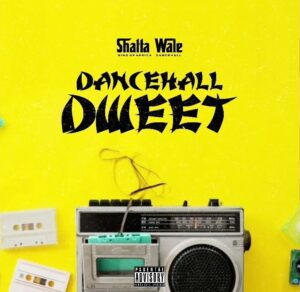 Shatta-Wale-Dancehall-Dweet_www-aacehypez-net_-mp3-image-300x292 Shatta Wale – Dancehall Dweet