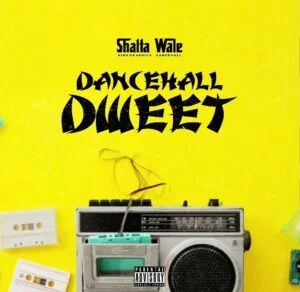 Shatta-Wale-Dancehall-Dweet_www-aacehypez-net_-mp3-image-300x292 Shatta Wale – Dancehall Dweet