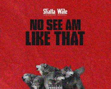 Shatta Wale – No See Am Like That