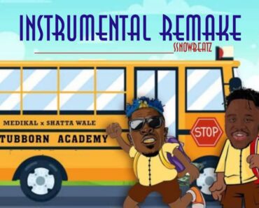 Medikal – Stubborn Academy Ft Shatta Wale Remake Instrumental