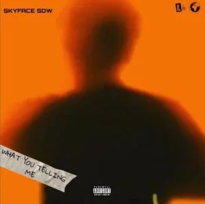 Skyface-SDW-What-You-Telling-Me_www-aacehypez-net_-mp3-image-300x298 Skyface SDW – What You Telling Me