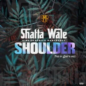 Image-1-3-300x300 Shatta Wale - Shoulder
