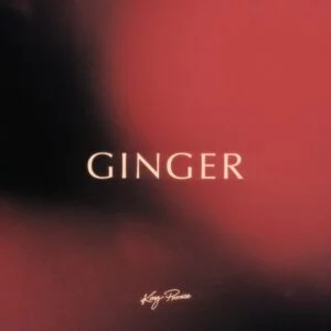 King-Promise-Ginger-Prod-by-Jae5-www-aacehypez-net_-mp3-image-300x300 King Promise - Ginger
