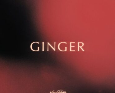 King Promise – Ginger