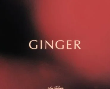 King Promise – Ginger