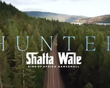 Shatta Wale – Hunter