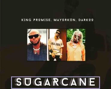 DJ KUSH x Camidoh – Sugarcane Remix (Amapiano MP3) DJ KUSH x Camidoh – Sugarcane Remix (Amapiano MP3)