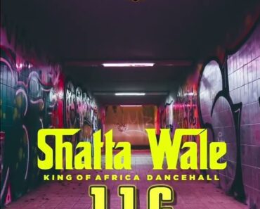 Shatta Wale – JJC (Johny Just Come)