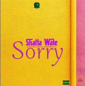 Shatta-Wale-Sorry_www-aacehypez-net_-mp3-image-297x300 Shatta Wale - Sorry