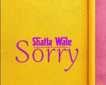 Shatta Wale – Sorry