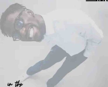 Shaker – In The Mood