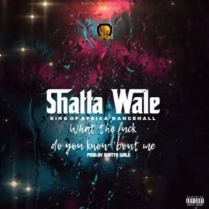 Shatta-Wale-What-The-Fck-Do-You-Bout-Me-300x300 Shatta Wale - What The F*ck Do You Bout Me
